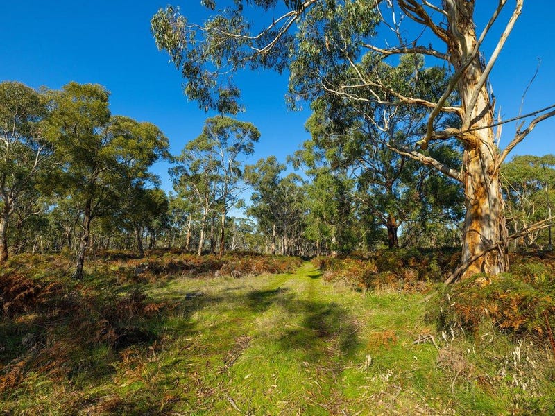 Real Estate & Property for Sale in Hawkesdale, VIC 3287 Pg. 2