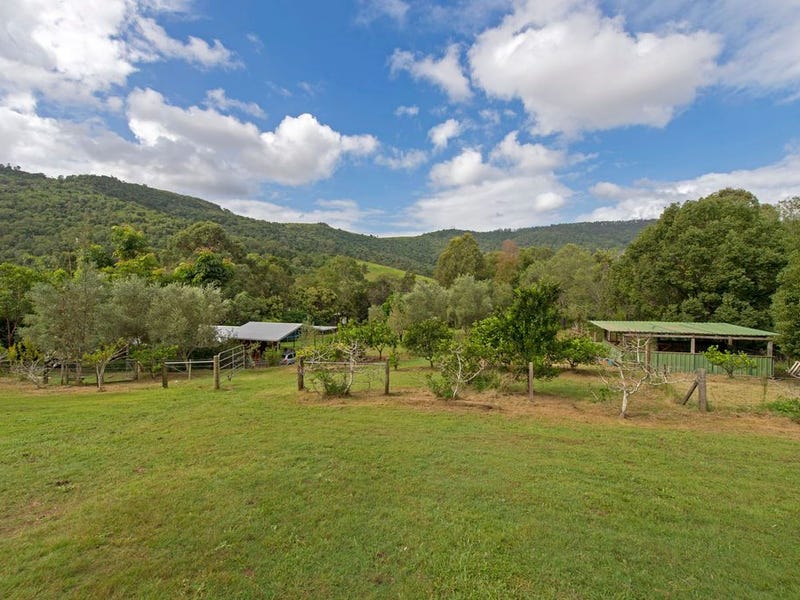244 Cedar Creek Road, Cedar Creek, QLD 4207
