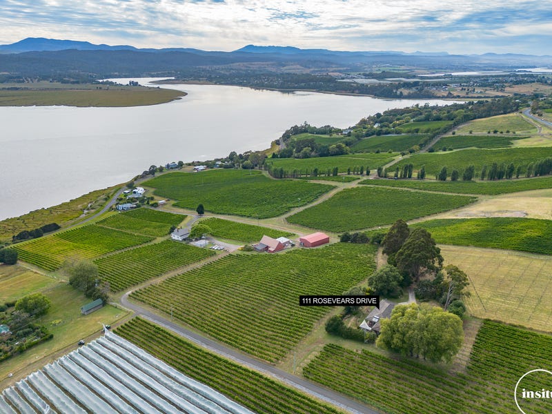 111 Rosevears Drive, Rosevears, Tas 7277 House for Sale realestate