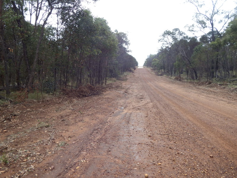 Lot 32 Milky Way Road, Fairyland, QLD 4413