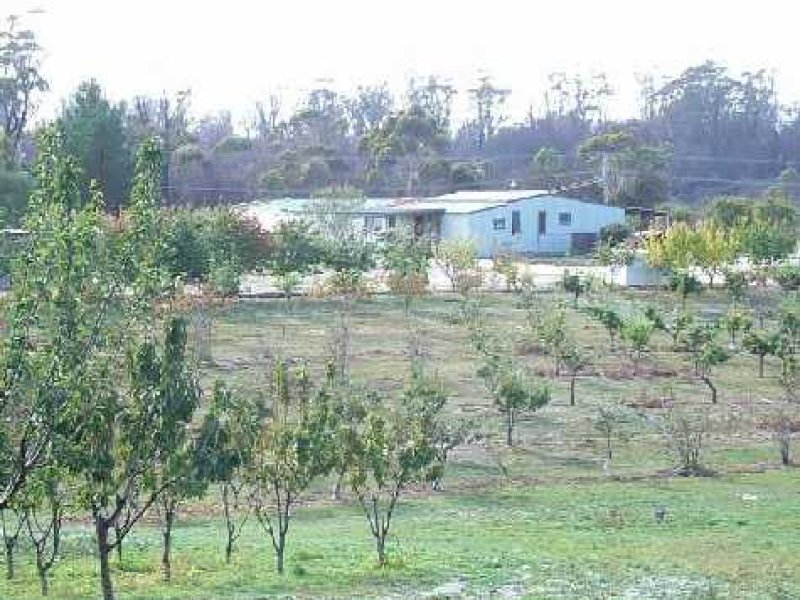 29 Upper Scamander Road, Scamander, Tas 7215 Property Details