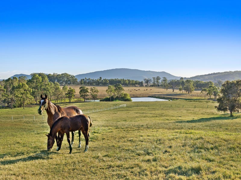 2684 Glendonbrook Road, Gresford, NSW 2311 Lifestyle for Sale