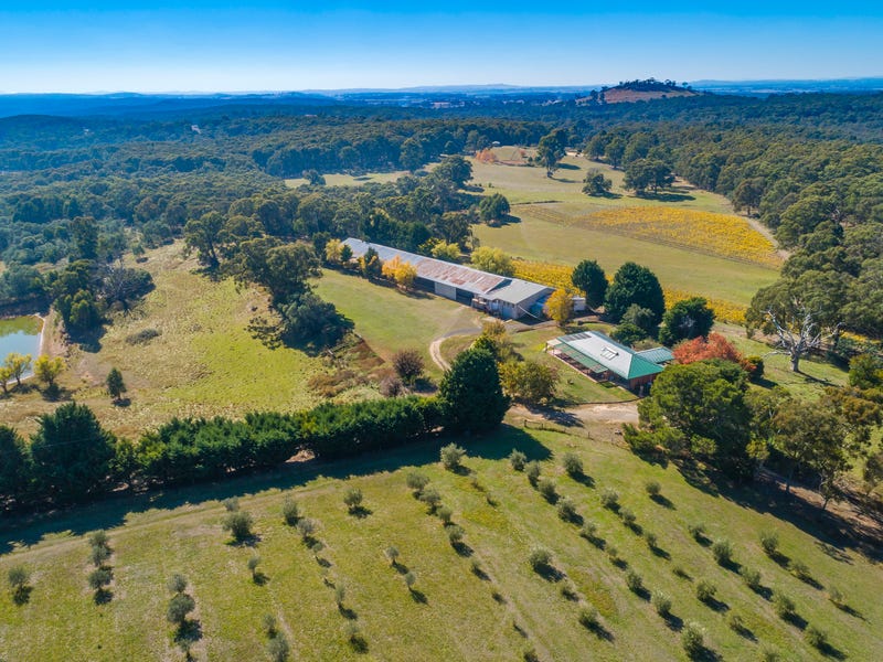 1289 Daylesford Malmsbury Road, Denver, Vic 3461 House for Sale