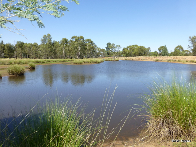 1180 Collingwood Lane, Bruie Plains, NSW 2875 - realestate.com.au