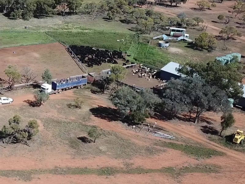 Sold Property Prices & Auction Results in Ivanhoe, NSW 2878