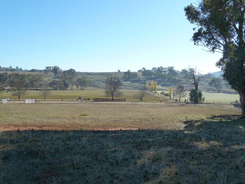 59 Jason Street, Molong, NSW 2866 - realestate.com.au