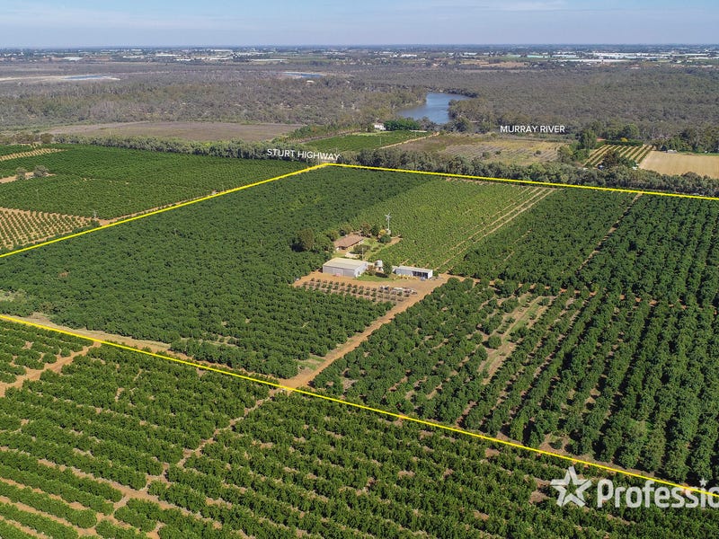 6376 Sturt Highway, Trentham Cliffs, NSW 2738