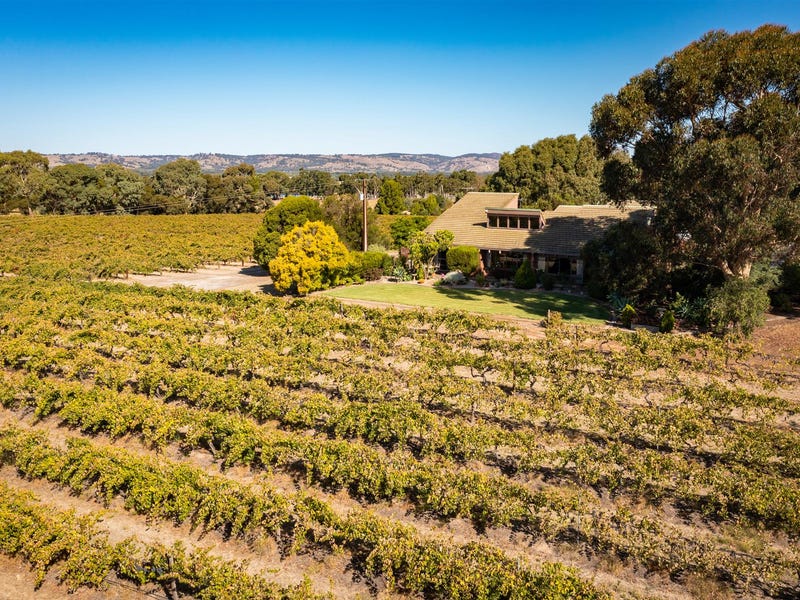 145 Tolley Road, Nuriootpa, SA 5355 Viticulture/vineyard for Sale