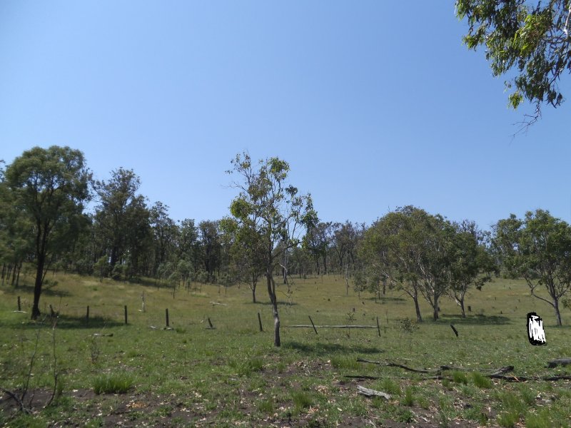 Lot 408 Cooyar Mount Binga Road, Cooyar, QLD 4402