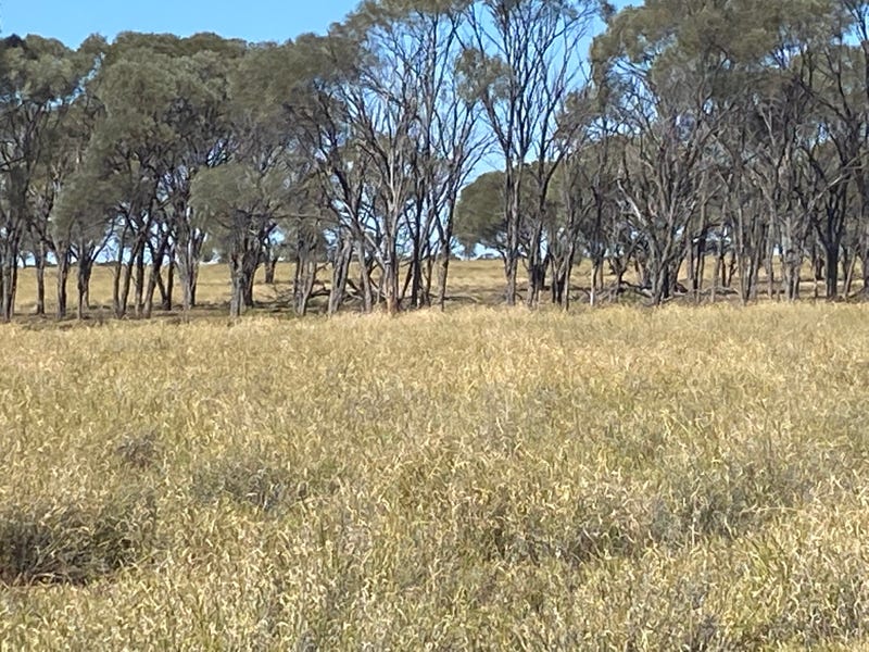 "Laidlaw", Melton Road, Longreach, Qld 4730 Other for Sale