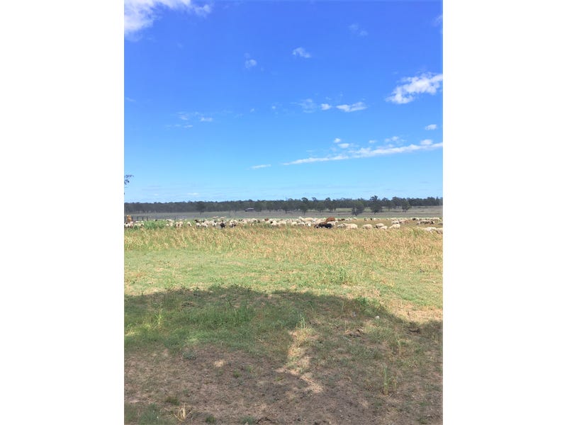 176 Spiers Creek Road, Stonehenge, QLD 4357