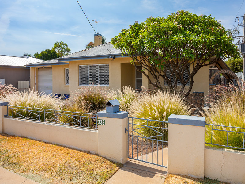 238 San Mateo Avenue, Mildura, Vic 3500 Property Details