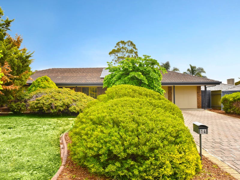 14 Arabian Drive, Woodcroft, SA 5162 Property Details