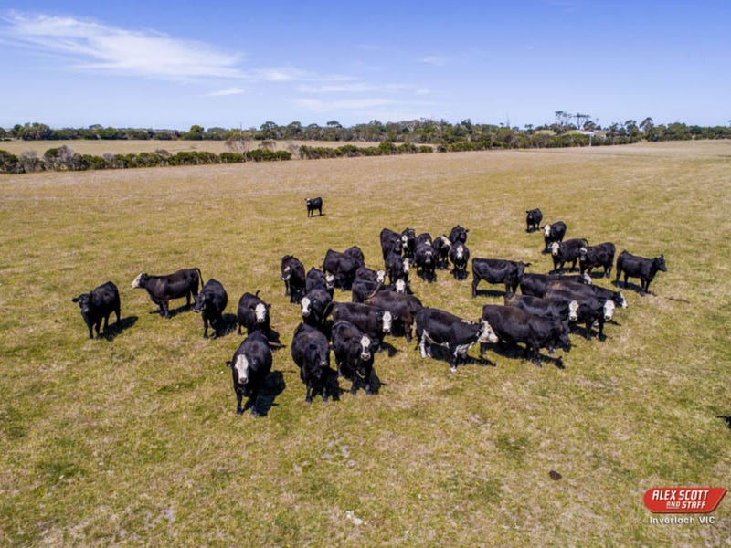 5350 Bass Highway, Inverloch, VIC 3996