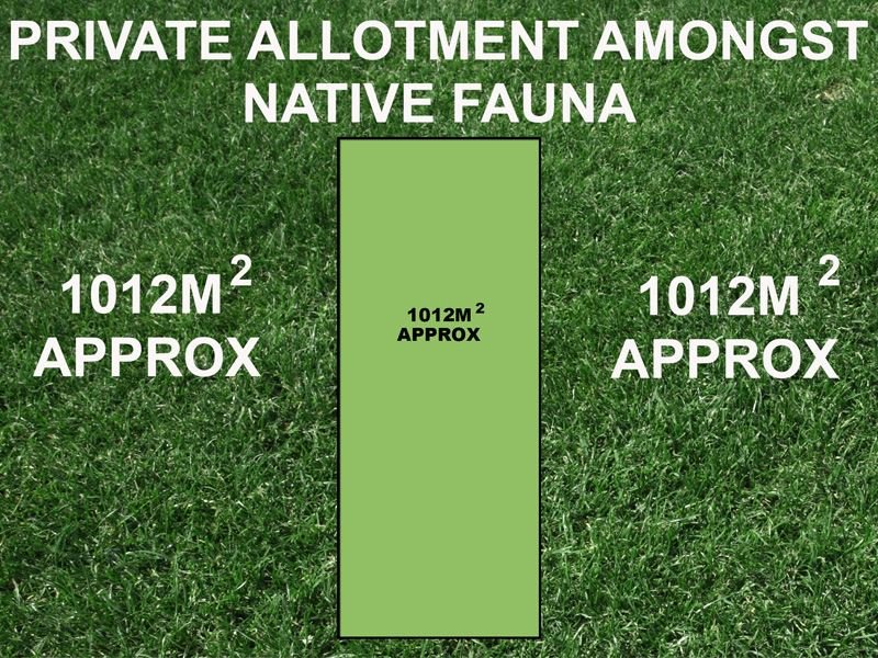 334 Bayview Road, Rosebud, VIC 3939