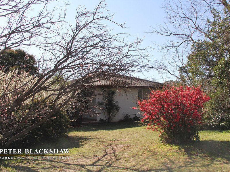 6 Ryan Street, Curtin, ACT 2605