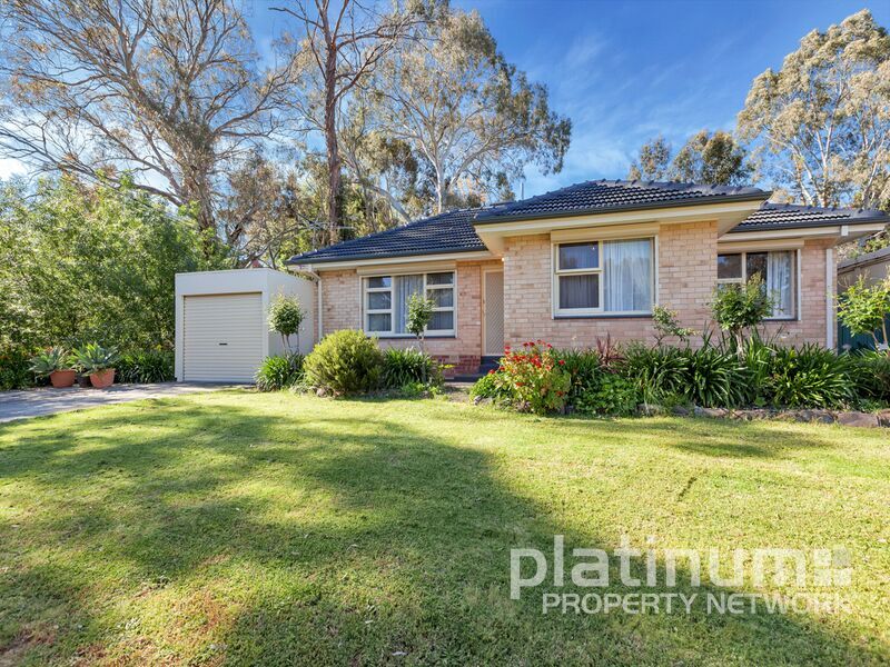 36 Carnarvon Avenue, Redwood Park, SA 5097
