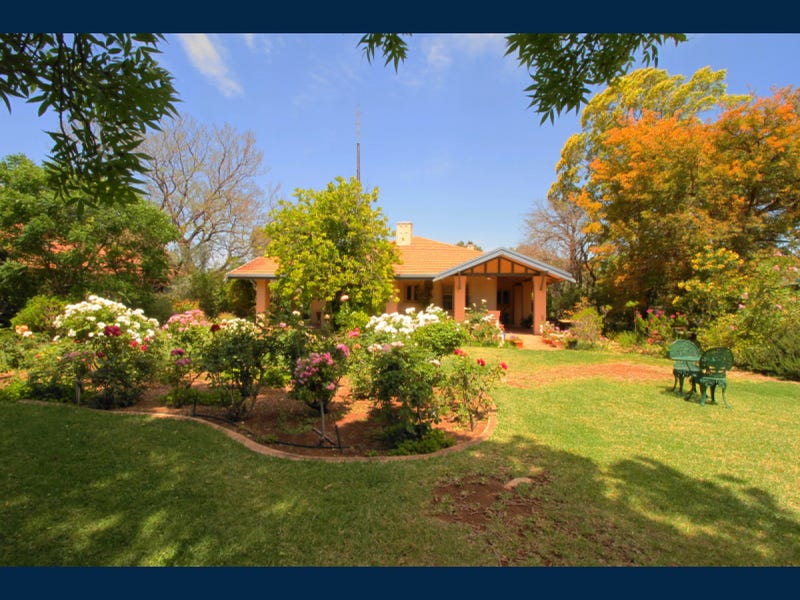 12 Brandis Street, Crystal Brook, SA 5523 House for Sale realestate