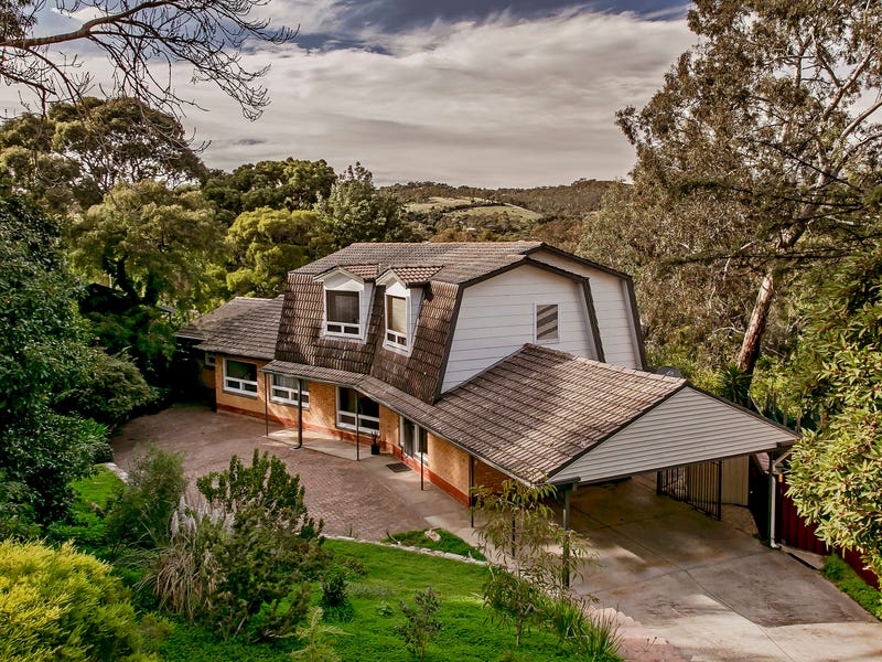 23 Diosma Drive, Coromandel Valley, SA 5051