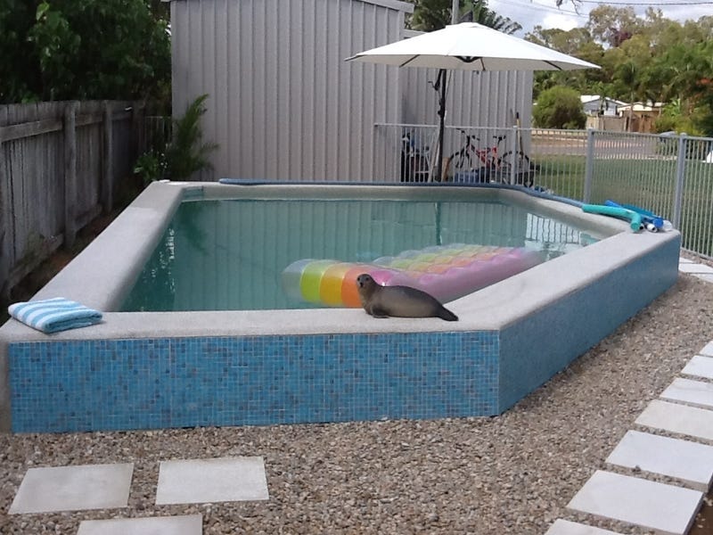 12 Coral Street, Saunders Beach, QLD 4818