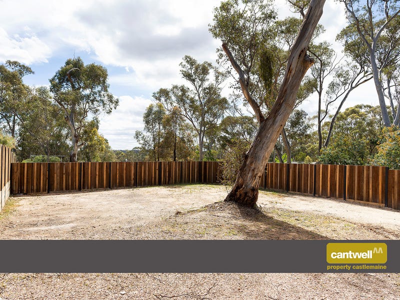 Real Estate & Property for Sale in Castlemaine, VIC 3450 Pg. 4