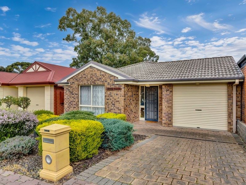 24 County Street, Hillcrest, SA 5086 - Property Details