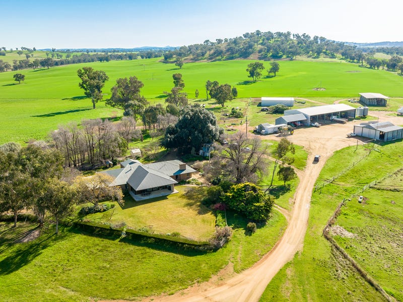 “DUNOON” “EARLSRIDGE” KILLARA”, Culcairn, NSW 2660 Other for Sale