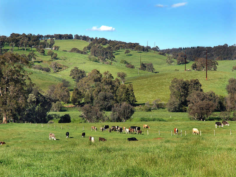 35 Shenton Road, Burekup, WA 6227 Property Details