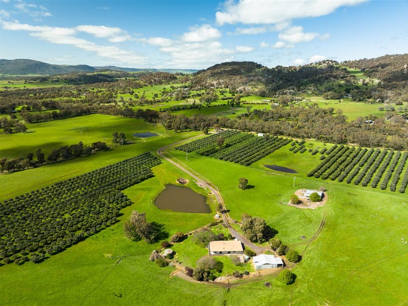 152-wilkinsons-lane-euroa-vic-3666-lifestyle-for-sale-realestate
