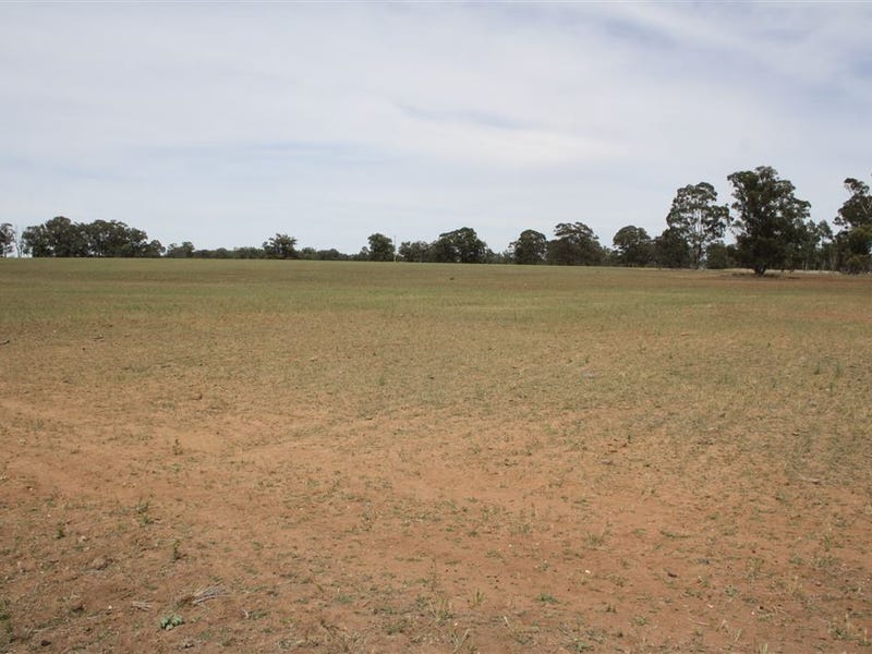 621 Flora Reserve Road, Gilgandra, NSW 2827