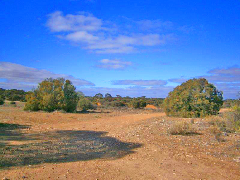 91, Lot 91 Sturt Highway, Blanchetown, SA 5357 Other for Sale