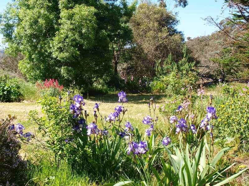 Property 7362341, Broadford, Vic 3658 Property Details