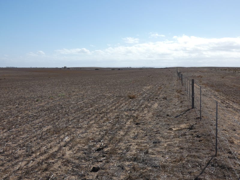 "Lovely Banks" Lot 1442 Lovelybanks Road, Wellington, SA 5259