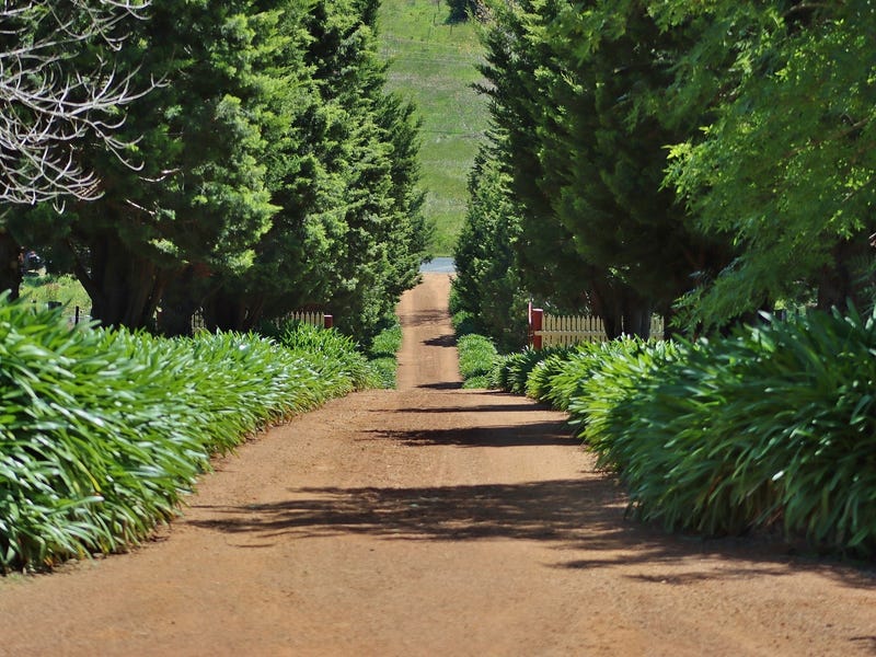 80 Airlie Road, Healesville, Vic 3777 Property Details