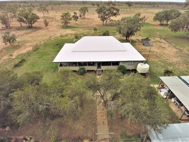 0 Bellview, Barcaldine, Qld 4725 Livestock for Sale