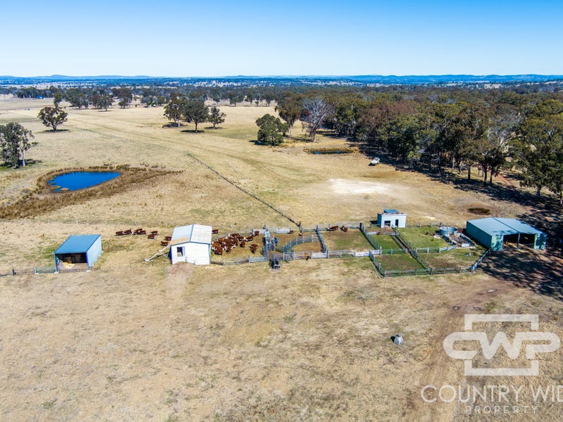 1308B Torrington Road, Stannum, NSW 2371 Property Details