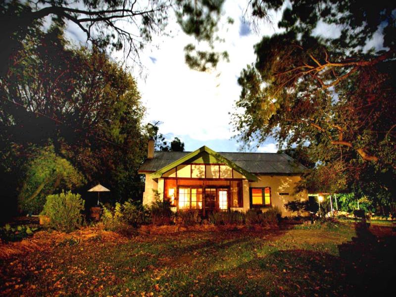 6 Tulip Street, Violet Town, VIC 3669