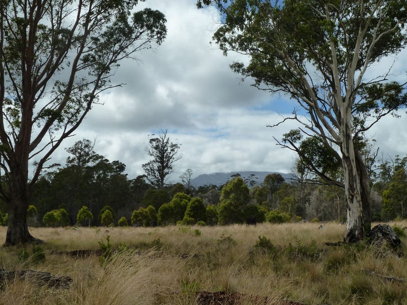 560 Gads Hill Road, Liena, Tas 7304 Property Details