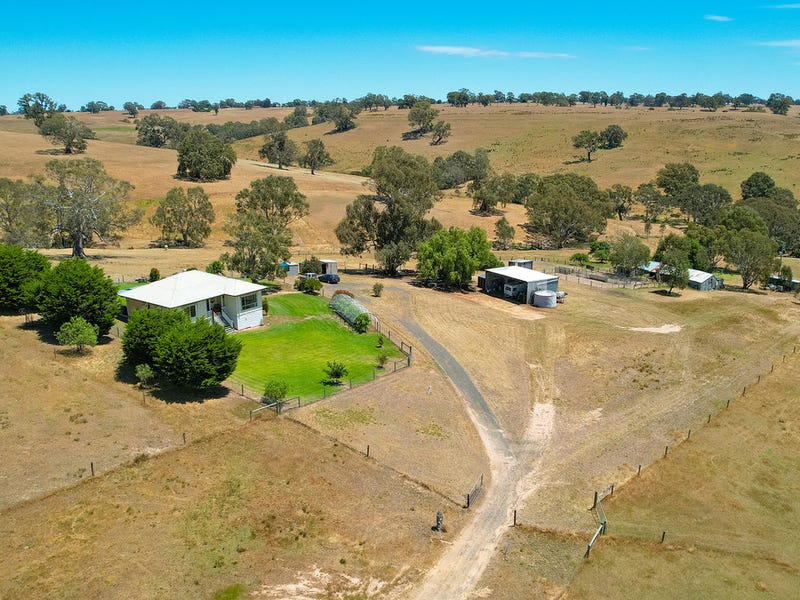 219 Gibsons Road, Tarrayoukyan, Vic 3315 Livestock for Sale