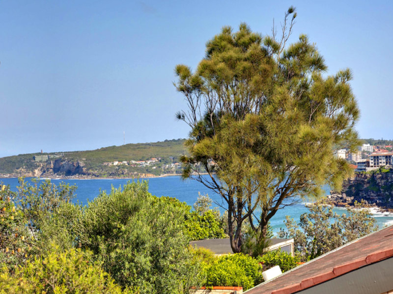 9/14 Ronald Avenue ), Freshwater, NSW 2096 Property Details