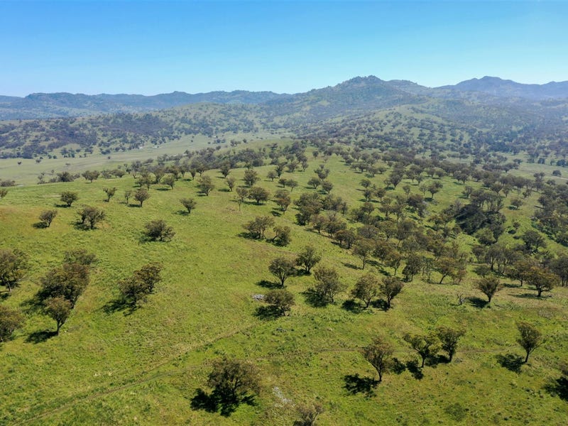 Hillgrove Tara Hall 794 Dales Creek Rd, Kars Springs, Scone, NSW 2337