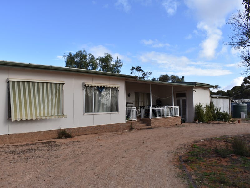 100 Bassham Road, Barmera, SA 5345 House for Sale