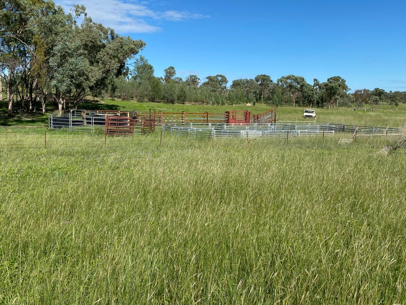 Rural properties for Sale in Texas, QLD 4385