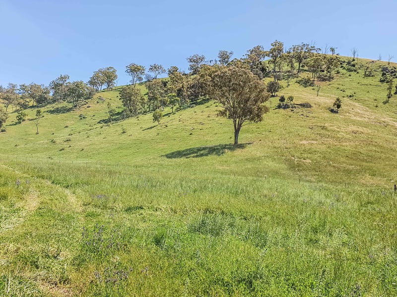 1532 Castlereagh Highway, Apple Tree Flat, NSW 2850