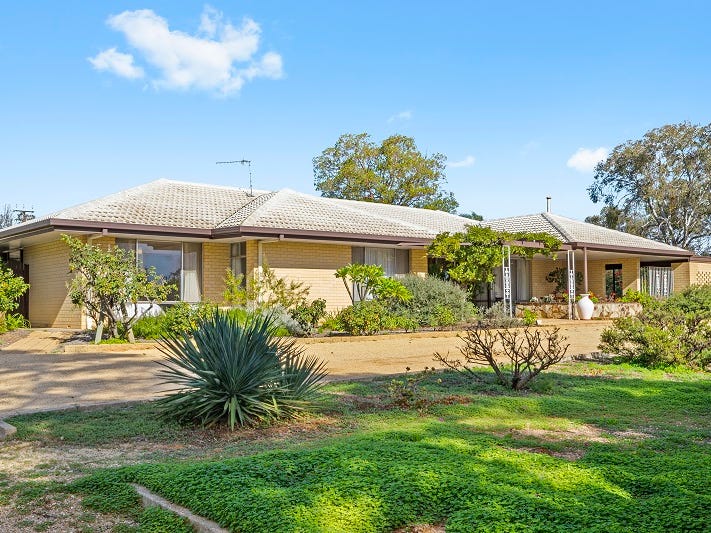 12 Cockin Road, Barmera, SA 5345 House for Sale