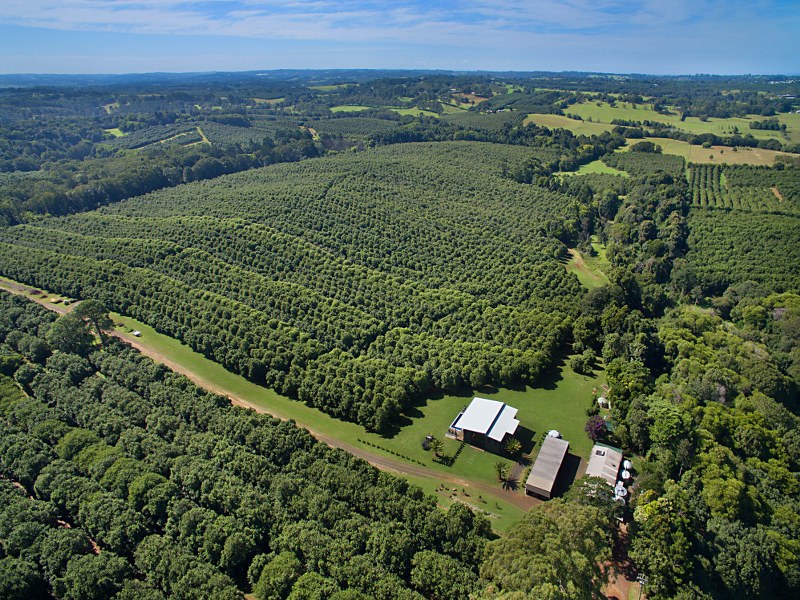 100A Lindendale Road, Lindendale, NSW 2480 Acreage for Sale