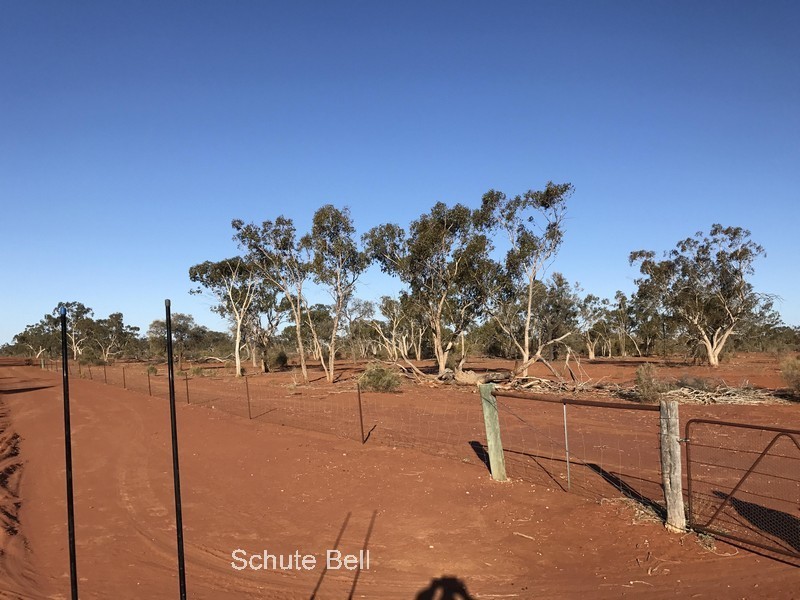 . Deiran, Cunnamulla, Qld 4490 Property Details