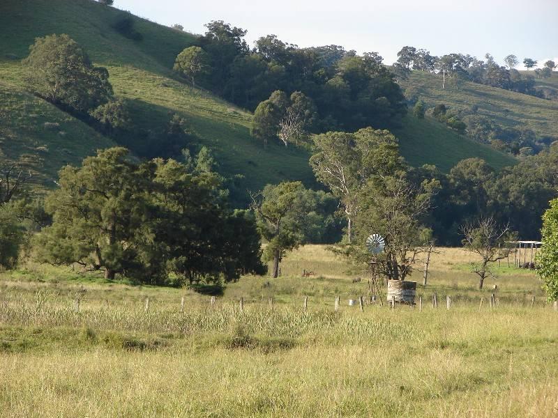 810 Muscle Creek Road, Muswellbrook, NSW 2333 Property Details