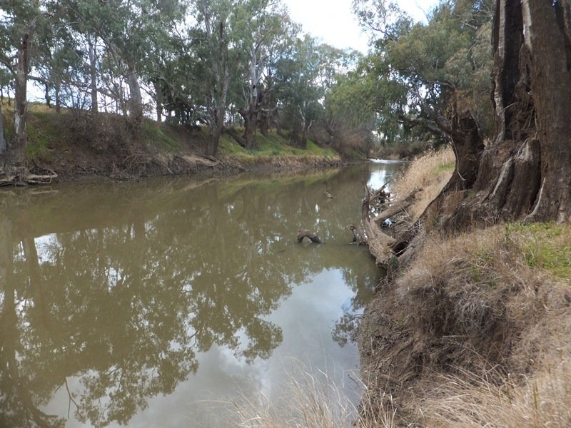 174 Lachlan Valley Way, Forbes, NSW 2871 Property Details