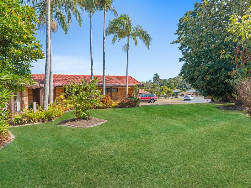 37 Colvillea Court, Palm Beach, QLD 4221 - realestate.com.au